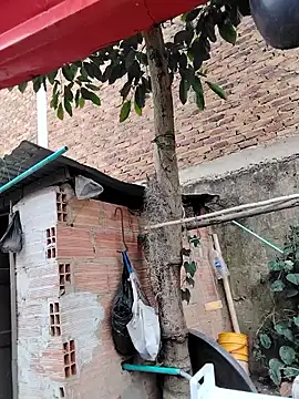 Snapshot of You-sexy-starr chatting on October 9, 2025, 4:38 pm You-sexy-starr online show from October 9, 2025, 4:38 pm