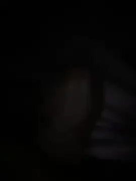 halopc online show from February 3, 2026, 6:46 pm