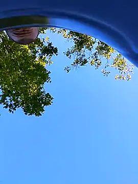 helldonk online show from September 21, 2025, 2:08 pm