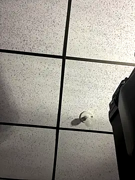 Snapshot of MR_MUSCLE chatting on September 19, 2025, 11:22 am MR MUSCLE online show from September 19, 2025, 11:22 am