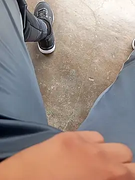 pauzudao 12 online show from March 3, 2026, 9:15 am