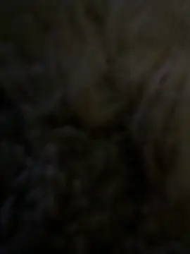 anonimgirl18old online show from April 29, 2026, 7:53 pm