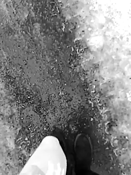 KOte7 online show from February 4, 2026, 10:10 am