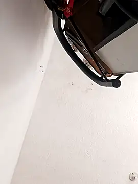 leon8013A online show from November 14, 2025, 5:55 pm