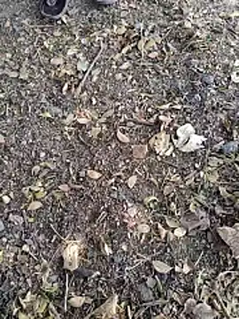 Telugu person12 online show from January 14, 2026, 7:58 am