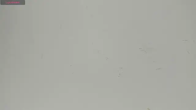 Sophia Ebony online show from June 22, 2026, 12:24 pm