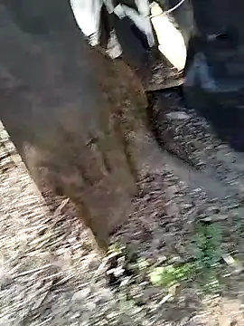 Odecca11 online show from March 24, 2026, 1:49 pm