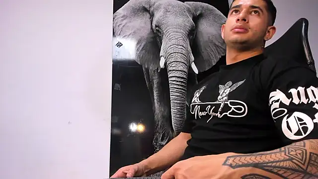 king falconer online show from October 19, 2025, 11:49 pm