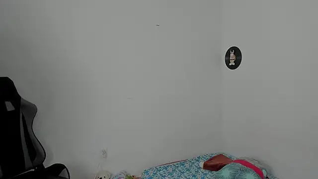 star shooting8 online show from February 24, 2026, 8:51 pm