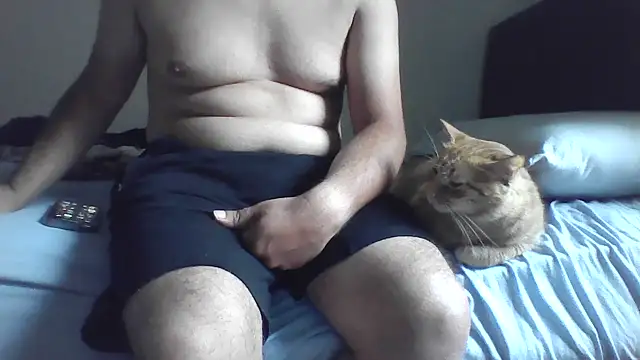 kocasosisli online show from July 9, 2026, 4:27 am