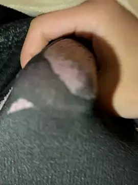 Snapshot of rrrrrriyyffhyeeee chatting on February 16, 2026, 12:29 am rrrrrriyyffhyeeee online show from February 16, 2026, 12:29 am