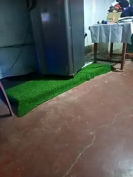 BabyHansi online show from March 29, 2026, 5:02 pm