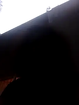 RFeltomWhitJ online show from November 8, 2025, 4:40 pm