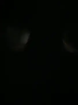 Archie-Davis online show from October 31, 2025, 7:26 pm