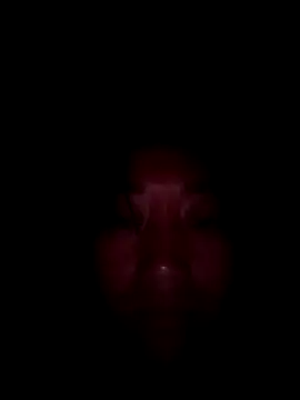 Snapshot of Zhan99999 chatting on October 15, 2025, 11:21 am Zhan99999 online show from October 15, 2025, 11:21 am