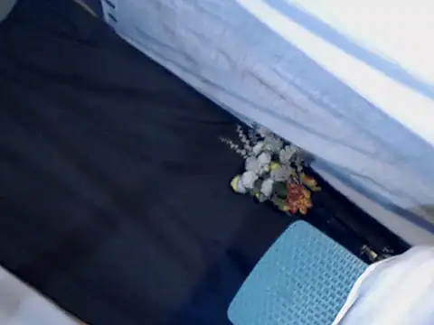 xyourdreamtrans online show from September 24, 2025, 9:34 am