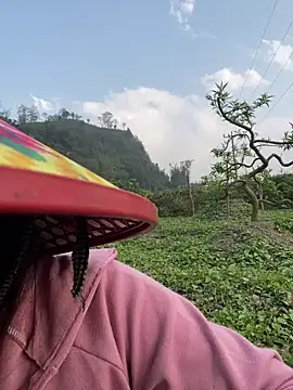 Snapshot of isaaa5 chatting on March 24, 2026, 9:47 am isaaa5 online show from March 24, 2026, 9:47 am