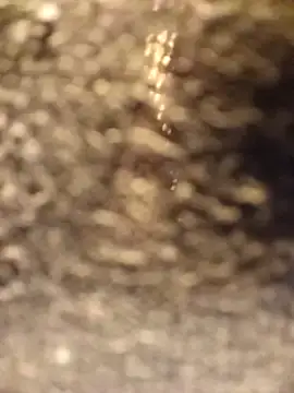 Venessa online show from December 5, 2025, 1:14 am