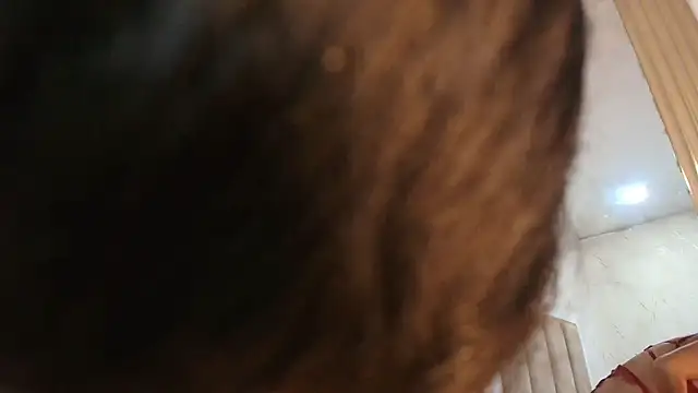 ArielleWilde online show from February 6, 2026, 4:17 am