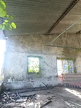 Sunny cute love online show from October 6, 2025, 3:04 am