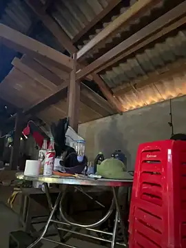 ThiHa003 online show from January 18, 2026, 5:11 am