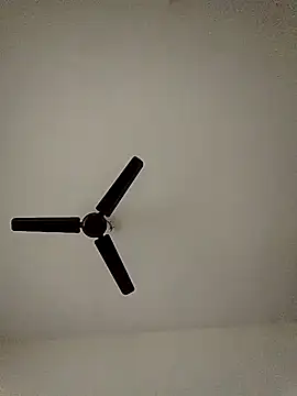 shreyas79 online show from October 26, 2025, 6:19 am