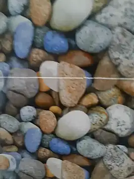 coocon2020 online show from October 28, 2025, 1:31 am