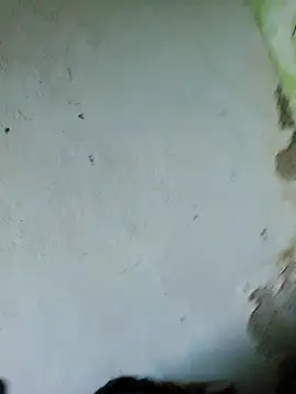 perversa068 online show from February 4, 2026, 11:27 am