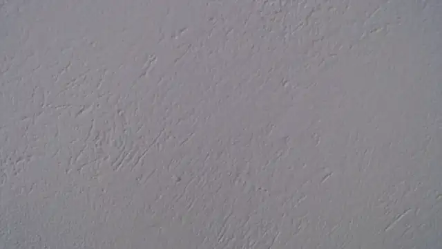 Laugreen  online show from December 5, 2025, 5:53 pm