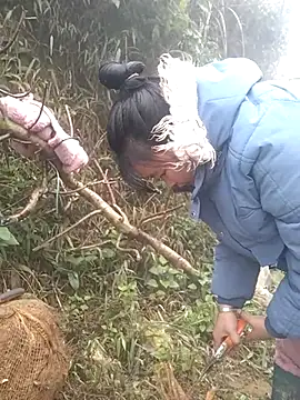 Snapshot of Chaotam1 chatting on February 3, 2026, 8:19 am Chaotam1 online show from February 3, 2026, 8:19 am