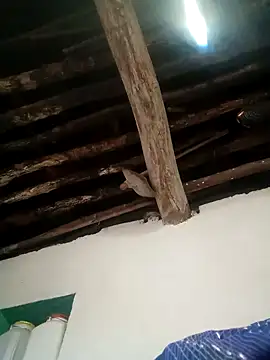 Snapshot of Hot_siiii chatting on November 1, 2025, 1:18 am Hot siiii online show from November 1, 2025, 1:18 am