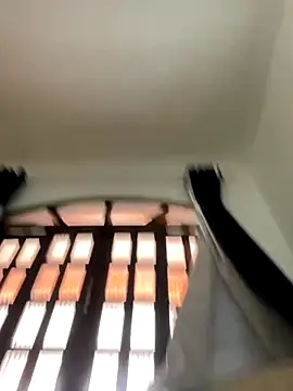 virtualgirlbr online show from December 4, 2025, 1:42 pm