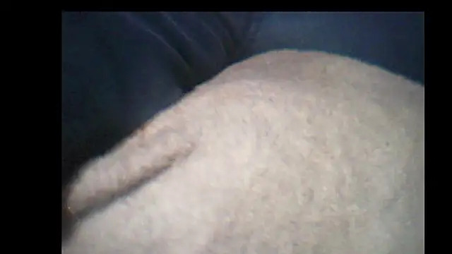 pietje1991 online show from December 14, 2025, 10:25 pm