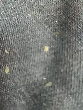 Snapshot of Narckse chatting on September 15, 2025, 7:30 am Narckse online show from September 15, 2025, 7:30 am