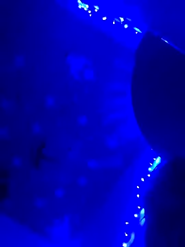 StatedEgalite online show from April 24, 2026, 3:09 am