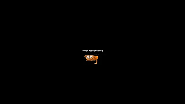 pecsblack888 online show from February 12, 2026, 7:42 pm