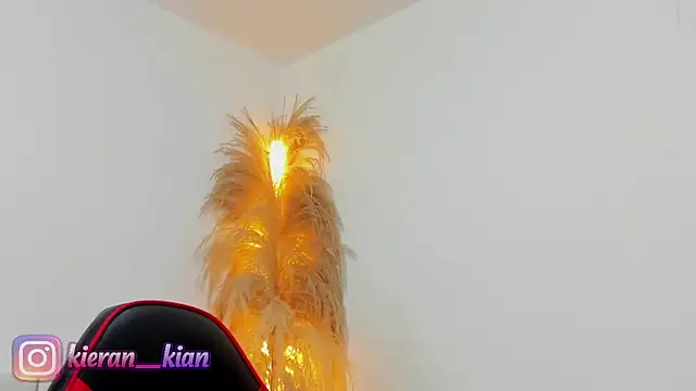 Kieran kian online show from April 19, 2026, 3:55 pm
