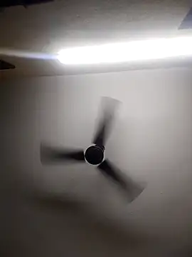 Devi-with-Ram online show from October 13, 2025, 4:34 am