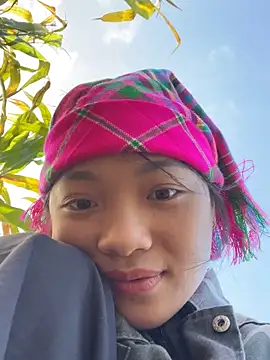 Phayphay77 online show from November 15, 2025, 8:22 am