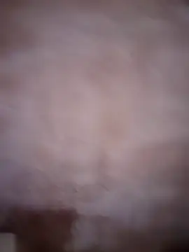 ddllrr224 online show from December 16, 2025, 11:43 pm