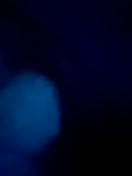 treefrog2025 online show from September 17, 2025, 11:28 pm