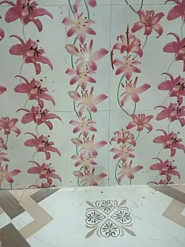 Snapshot of Meenaksi-singh chatting on October 12, 2025, 3:00 pm Meenaksi-singh online show from October 12, 2025, 3:00 pm