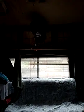 ShawnandDani7074 online show from February 22, 2026, 1:53 pm