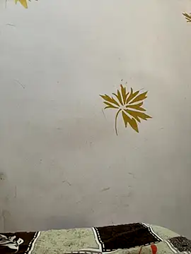 modelnishu online show from October 17, 2025, 1:42 am