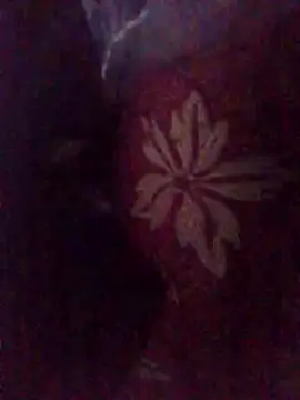 Amin Dz-20 online show from January 7, 2026, 11:29 pm