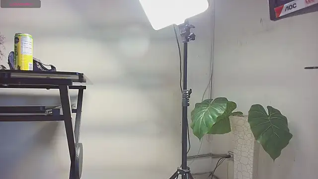 Snapshot of sakuramoss chatting on October 24, 2025, 6:43 am sakuramoss online show from October 24, 2025, 6:43 am