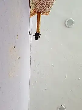 funcreat online show from September 11, 2025, 11:54 am