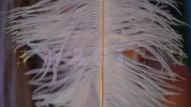 Alvuwkaa online show from January 10, 2026, 9:44 am