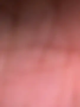 ninjabod online show from October 30, 2025, 8:20 pm