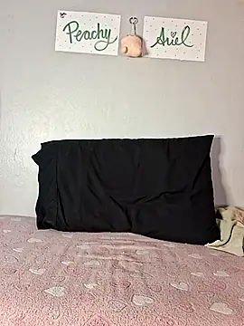 Snapshot of PeachyAriel chatting on April 17, 2026, 2:25 am PeachyAriel online show from April 17, 2026, 2:25 am